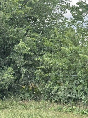 000 County Road 4219, Decatur, TX 76234