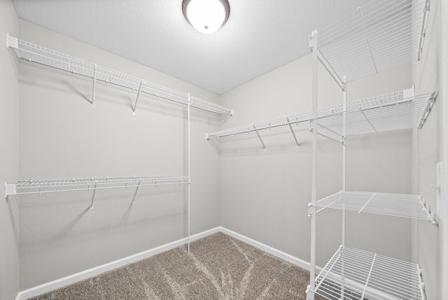 1217 Gentry Dr, Clarksville, TN 37043