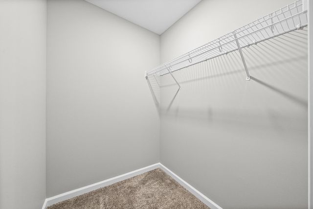 1217 Gentry Dr, Clarksville, TN 37043