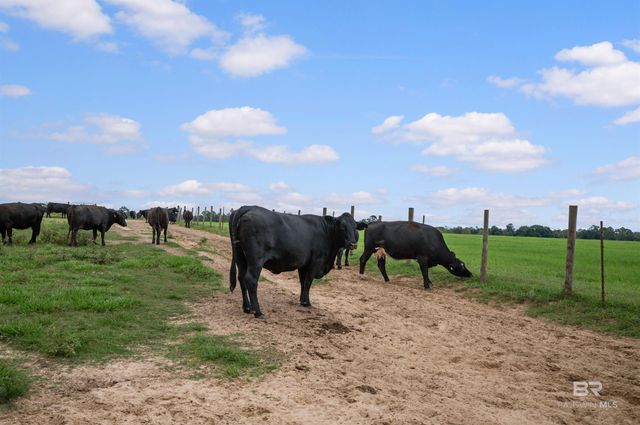 24795A County Road 32, Elberta, AL 36530