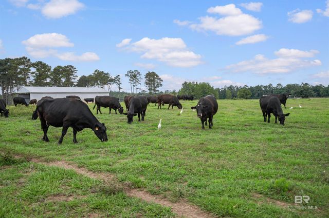 24795A County Road 32, Elberta, AL 36530