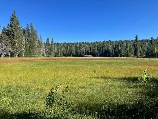 960 Ward Creek Blvd, Tahoe City, CA 96145