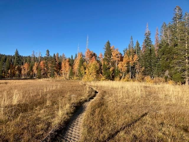 960 Ward Creek Blvd, Tahoe City, CA 96145