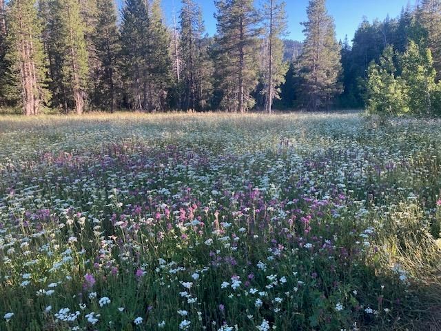 960 Ward Creek Blvd, Tahoe City, CA 96145