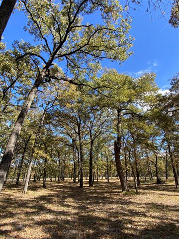 TBD Nautical Drive, Quinlan, TX 75474