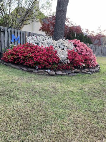 3328 SHADY FOREST CV, Collierville, TN 38017