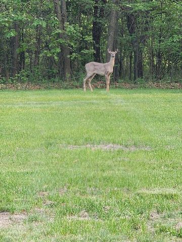 523 County Rd A Road, Oxford, WI 53952