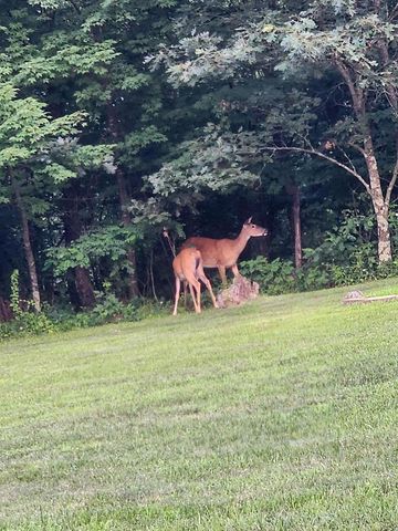 523 County Rd A Road, Oxford, WI 53952