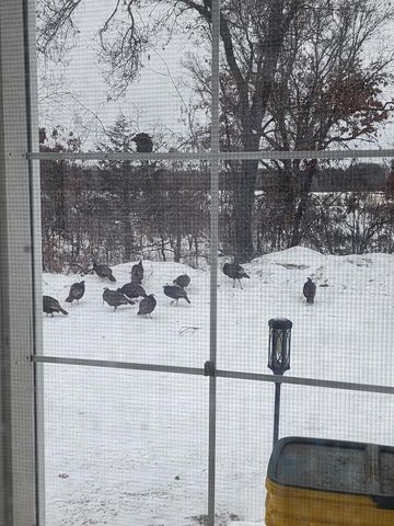 523 County Rd A Road, Oxford, WI 53952