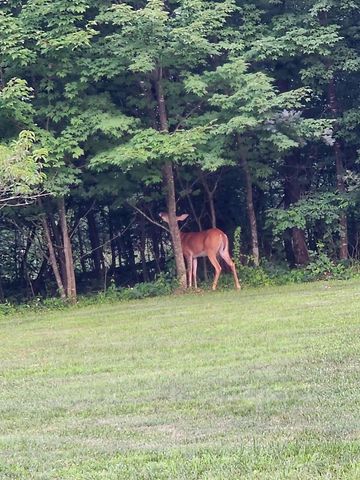 523 County Rd A Road, Oxford, WI 53952