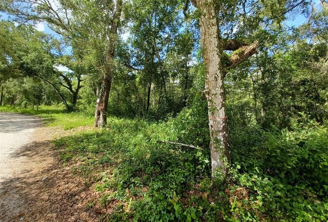 40TH, Webster, FL 33597