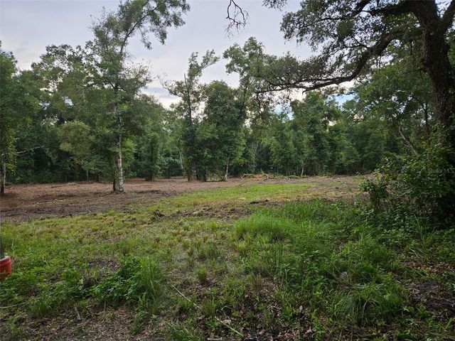 40TH, Webster, FL 33597