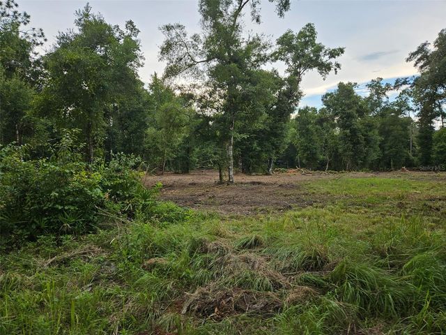 40TH, Webster, FL 33597