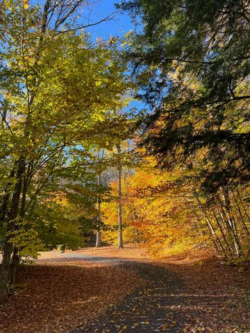 358 Cowdrey Path, Woodstock, VT 05071