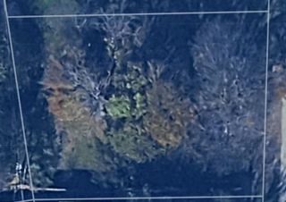 249 Wildwind Street, Gun Barrel City, TX 75156