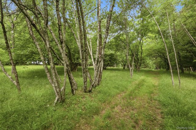 115 Cold Spring Road, Liberty, NY 12754