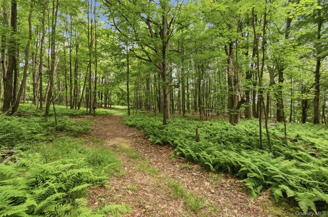 115 Cold Spring Road, Liberty, NY 12754