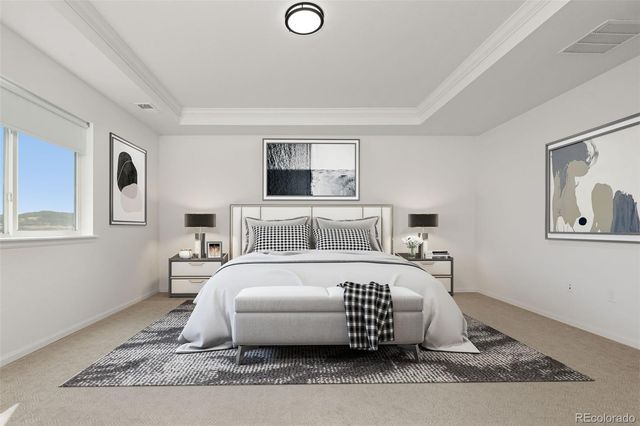 6866 Petunia Place, Castle Rock, CO 80108