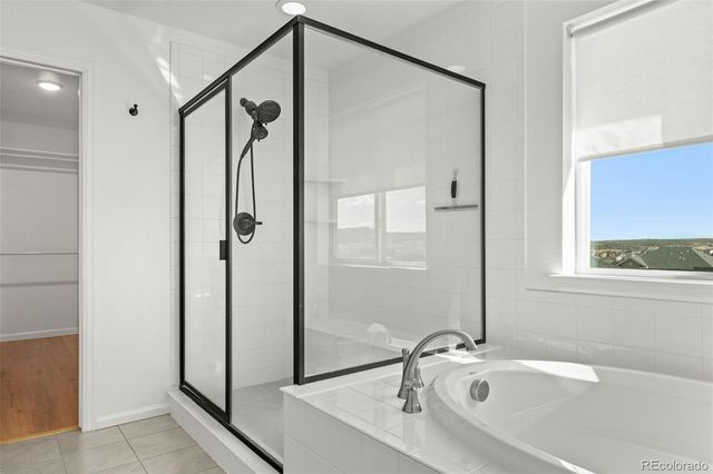 6866 Petunia Place, Castle Rock, CO 80108