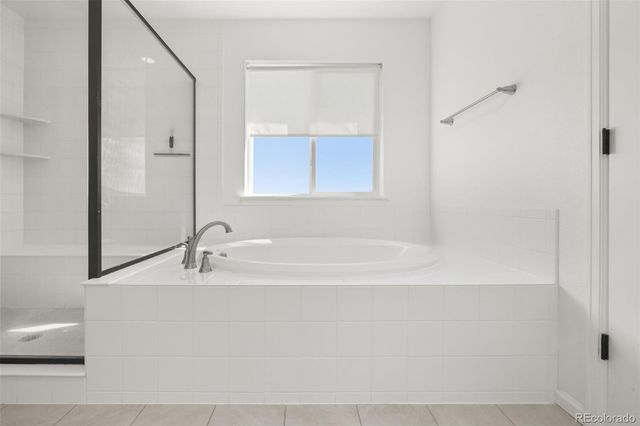 6866 Petunia Place, Castle Rock, CO 80108