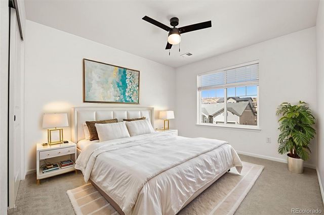 6866 Petunia Place, Castle Rock, CO 80108