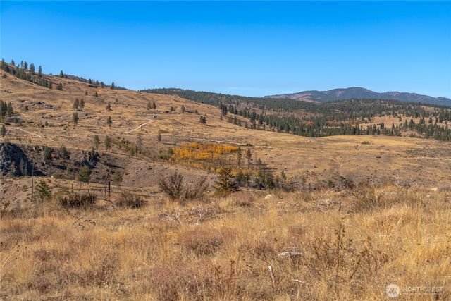 454 Harmony Heights, Brewster, WA 98812