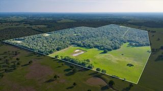 2095 County Road 442, Thrall, TX 76578