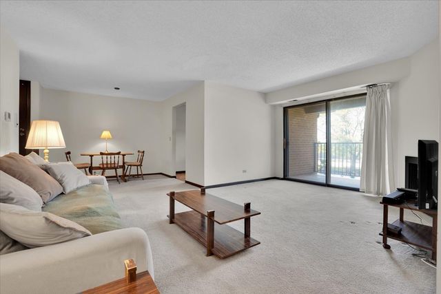 2213 Wharf Drive 407, Woodridge, IL 60517