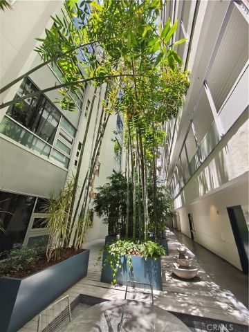 630 W 6th Street 506, Los Angeles, CA 90017