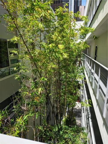 630 W 6th Street 506, Los Angeles, CA 90017