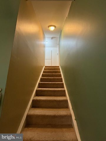 521 NORTHERN SPY DR, Linden, VA 22642