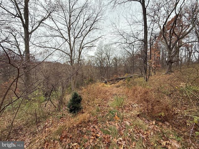 521 NORTHERN SPY DR, Linden, VA 22642