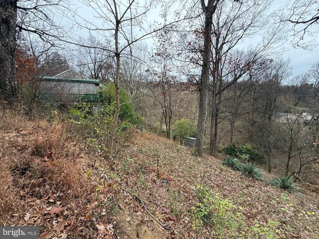 521 NORTHERN SPY DR, Linden, VA 22642