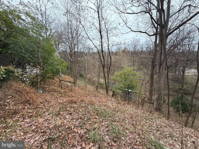 521 NORTHERN SPY DR, Linden, VA 22642