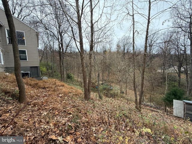 521 NORTHERN SPY DR, Linden, VA 22642