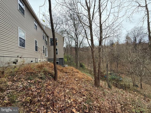 521 NORTHERN SPY DR, Linden, VA 22642