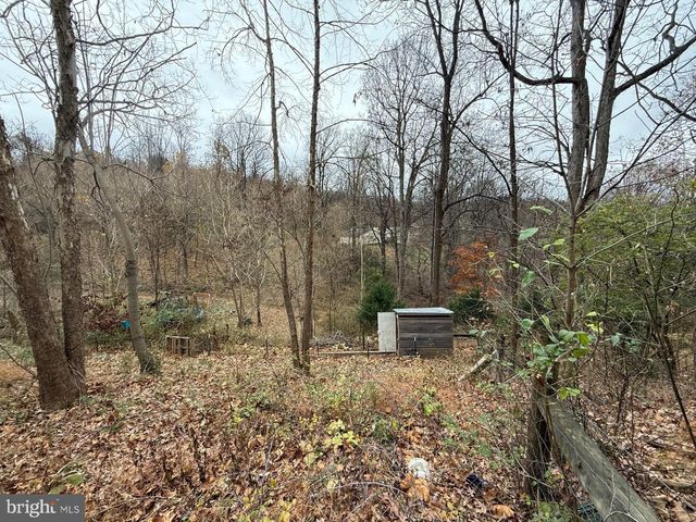 521 NORTHERN SPY DR, Linden, VA 22642