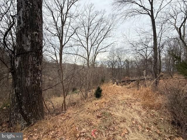 521 NORTHERN SPY DR, Linden, VA 22642