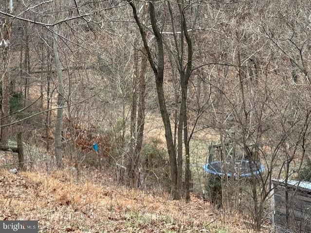 521 NORTHERN SPY DR, Linden, VA 22642