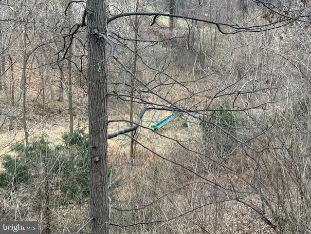 521 NORTHERN SPY DR, Linden, VA 22642