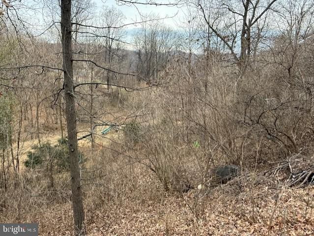 521 NORTHERN SPY DR, Linden, VA 22642