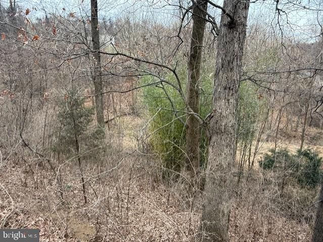 521 NORTHERN SPY DR, Linden, VA 22642