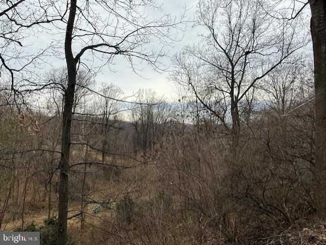 521 NORTHERN SPY DR, Linden, VA 22642