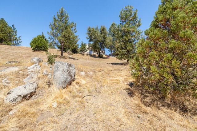 45544 Pine River Rd, Ahwahnee, CA 93601