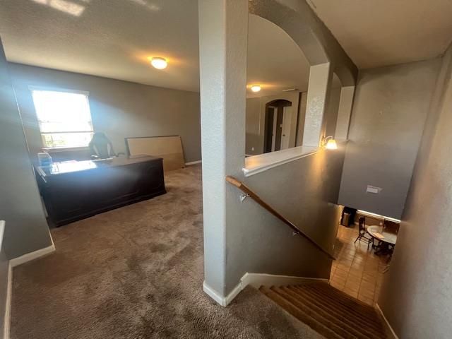 871 Noel FRST, New Braunfels, TX 78130