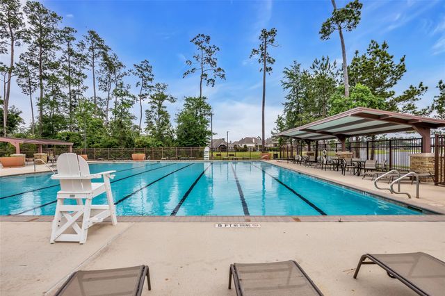 32117 Magnolia River Trail, Conroe, TX 77386