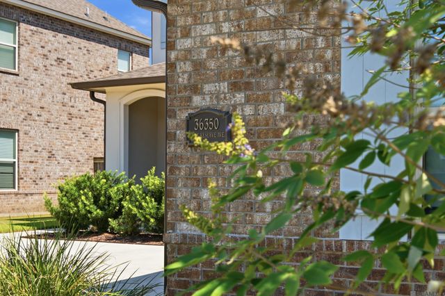 36350 Belle Reserve Ave, Geismar, LA 70734