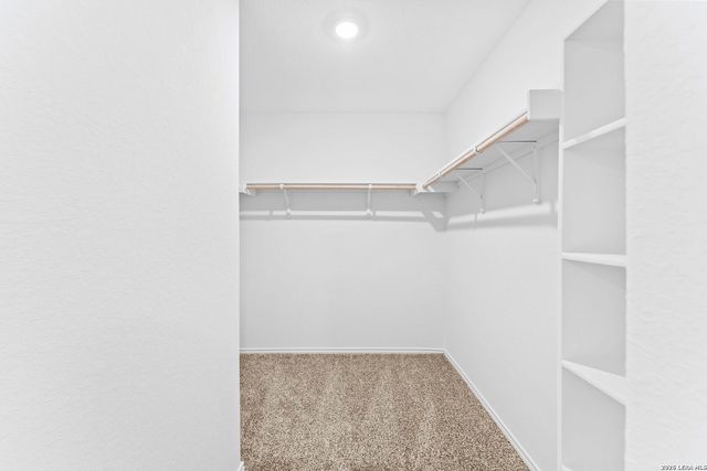 308 Cottonmouth, Seguin, TX 78155