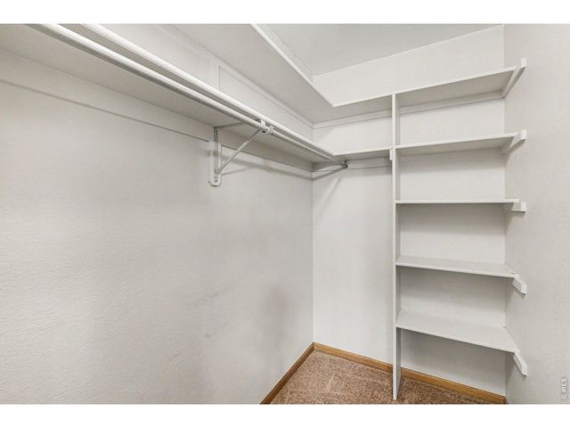 635 Ash Ave, Ault, CO 80610