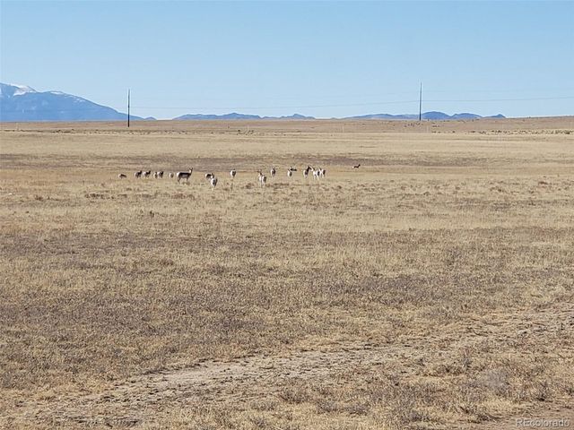 7510 Cowboy Ranch Vw, Peyton, CO 80831